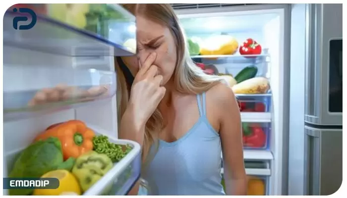 ایراد بوی بد غذاها در یخچال
