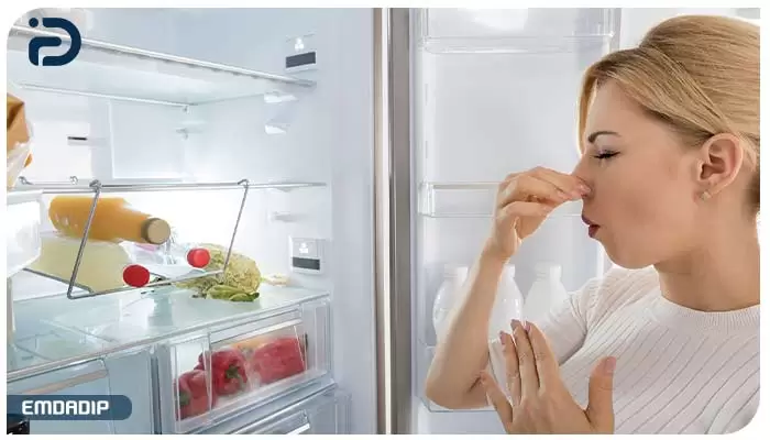 آموزش رفع بوی بد داخل یخچال دوو