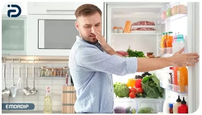 بوی بد یخچال چه دلیل دارد