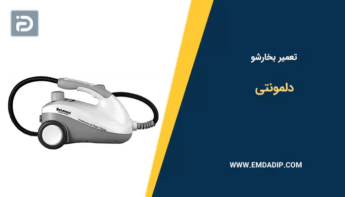 تعمیر بخارشو دلمونتی